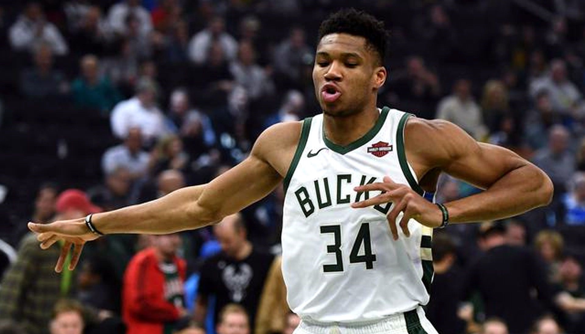 关于九游体育:雄鹿队字母哥的统治力:如何继续进化,统治联盟,创造更多辉煌?的信息 关于九游体育:雄鹿队字母哥的统治力:如何继续进化,统治联盟,创造更多辉煌?的信息