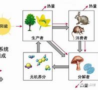 包含九游体育:LaLiga的明星对比：历史与现状的反思的词条