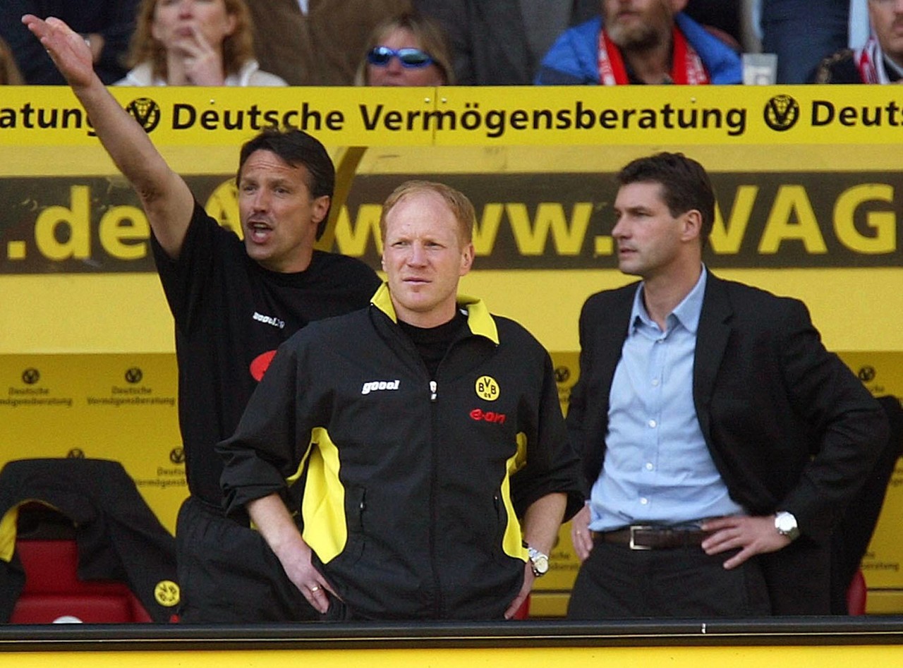 九游体育：中国篮球运动员退役，转型发展再创辉煌的简单介绍