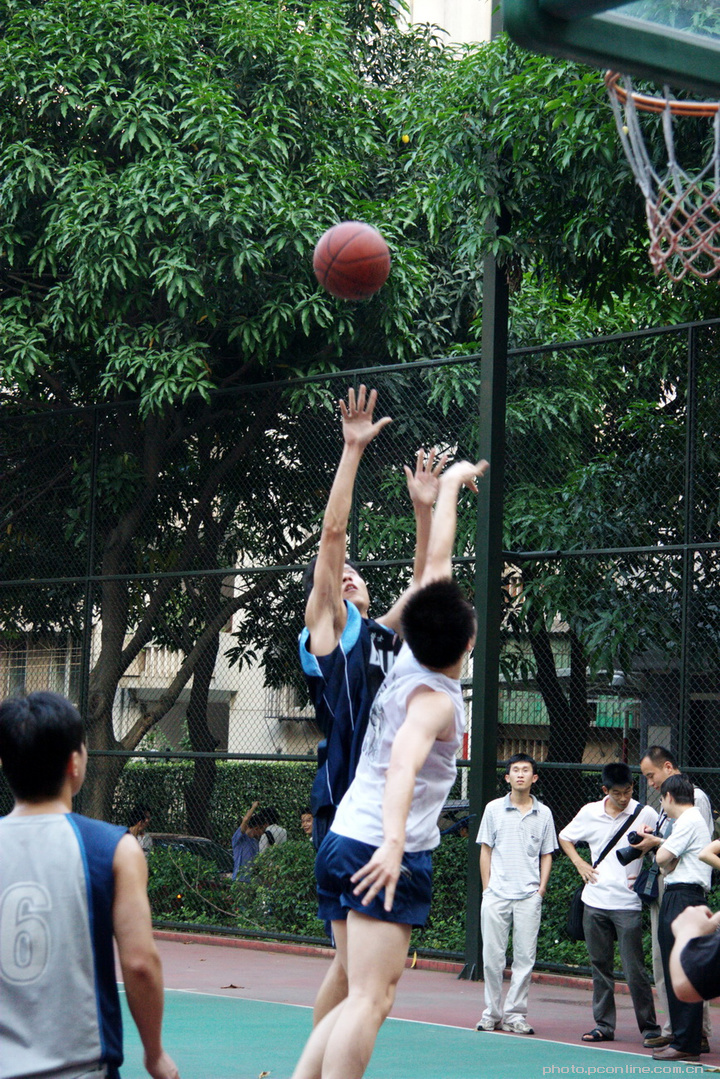 九游体育:篮球主题的摄影展:用镜头记录篮球的精彩瞬间的简单介绍 九游体育:篮球主题的摄影展:用镜头记录篮球的精彩瞬间的简单介绍