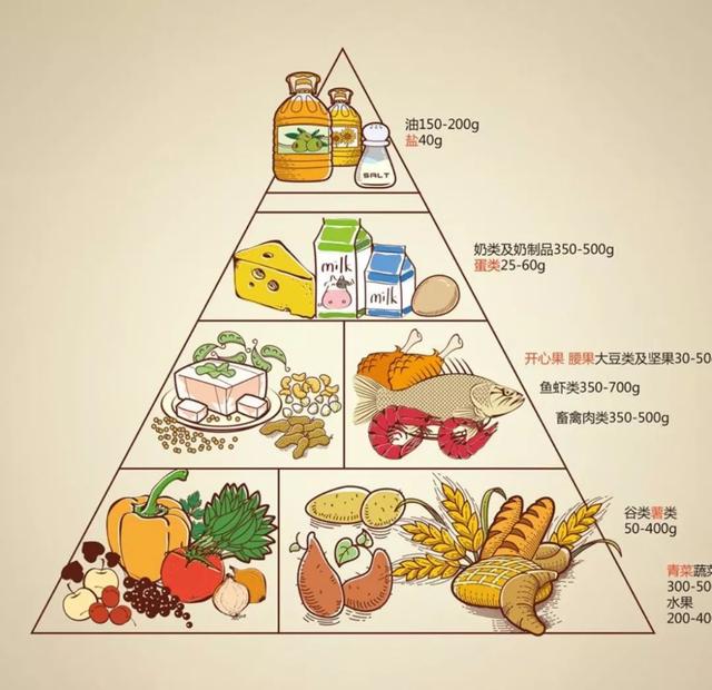 NBA球员的饮食与营养